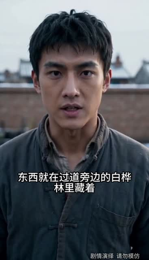 江野的故事(101集) 江野的故事(101集)看到了大结局